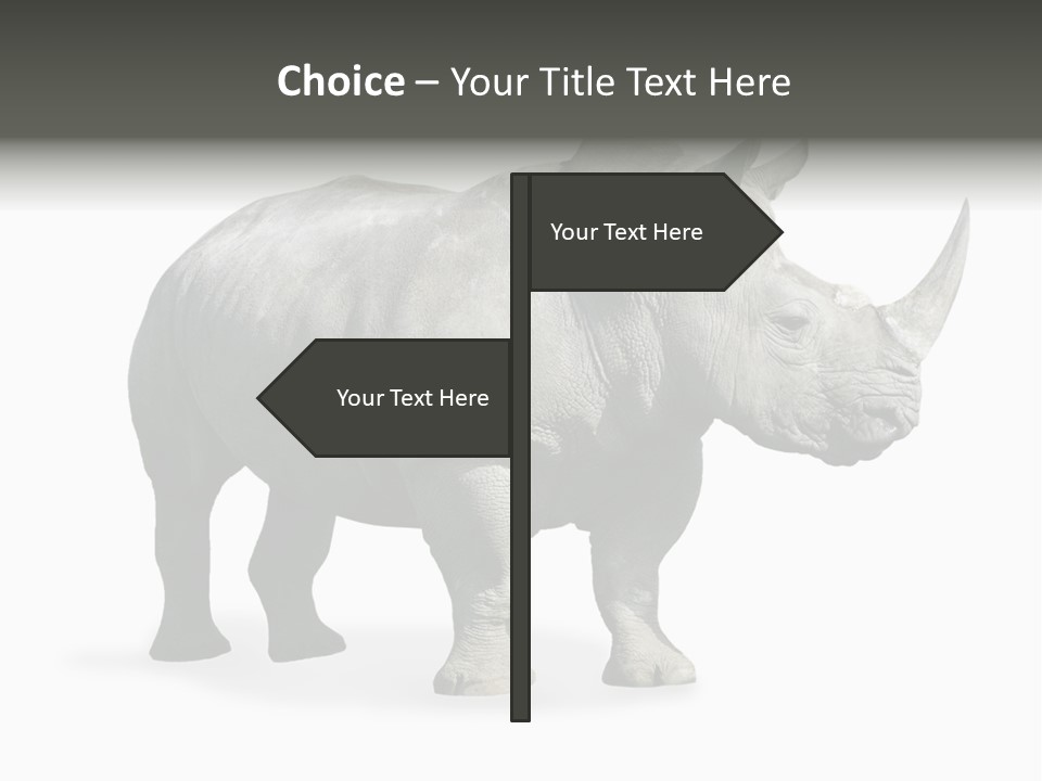 Rhinoceros Animal Danger PowerPoint Template