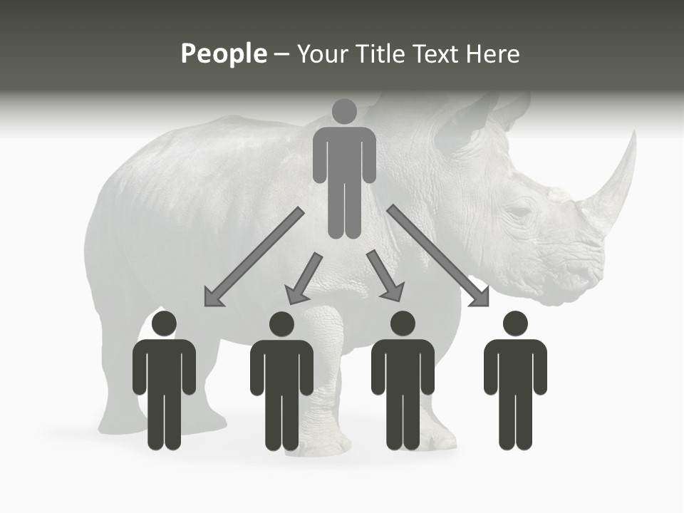 Rhinoceros Animal Danger PowerPoint Template