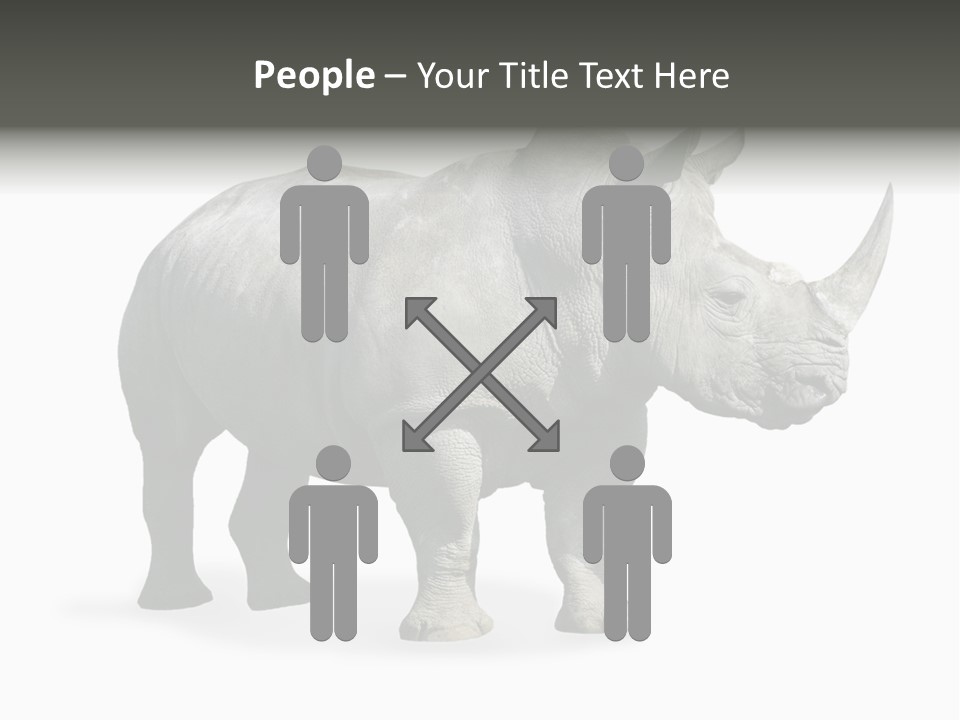 Rhinoceros Animal Danger PowerPoint Template