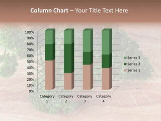 Cuisine Grass Parsley PowerPoint Template