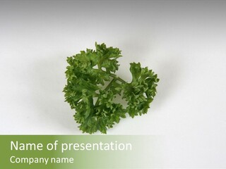 Pod Ingredient Parsley PowerPoint Template