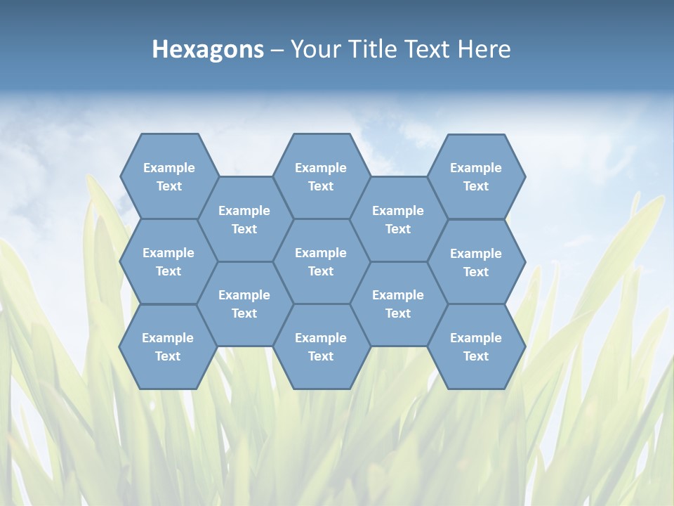 Serene Sun Environment PowerPoint Template