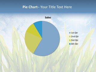 Serene Sun Environment PowerPoint Template