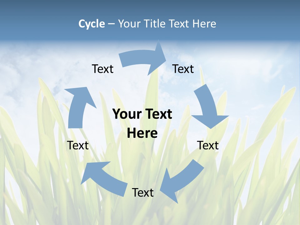 Serene Sun Environment PowerPoint Template