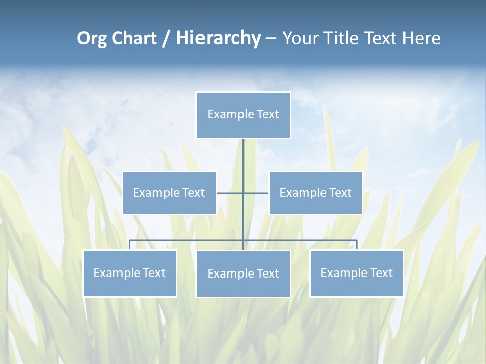Serene Sun Environment PowerPoint Template