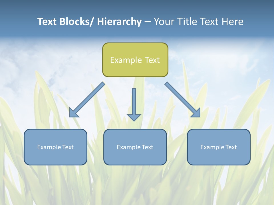 Serene Sun Environment PowerPoint Template