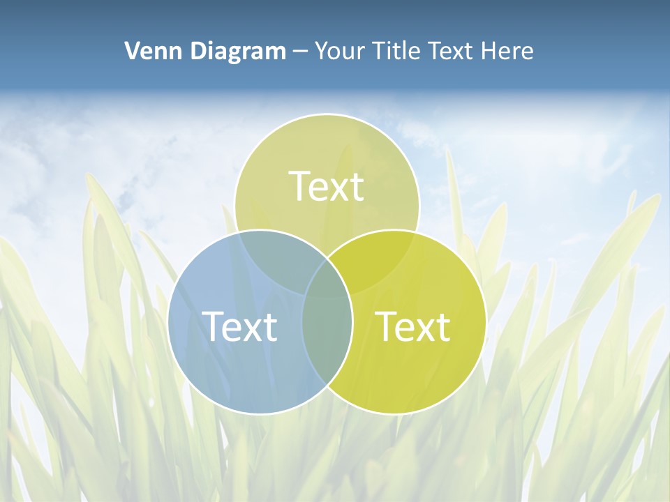 Serene Sun Environment PowerPoint Template
