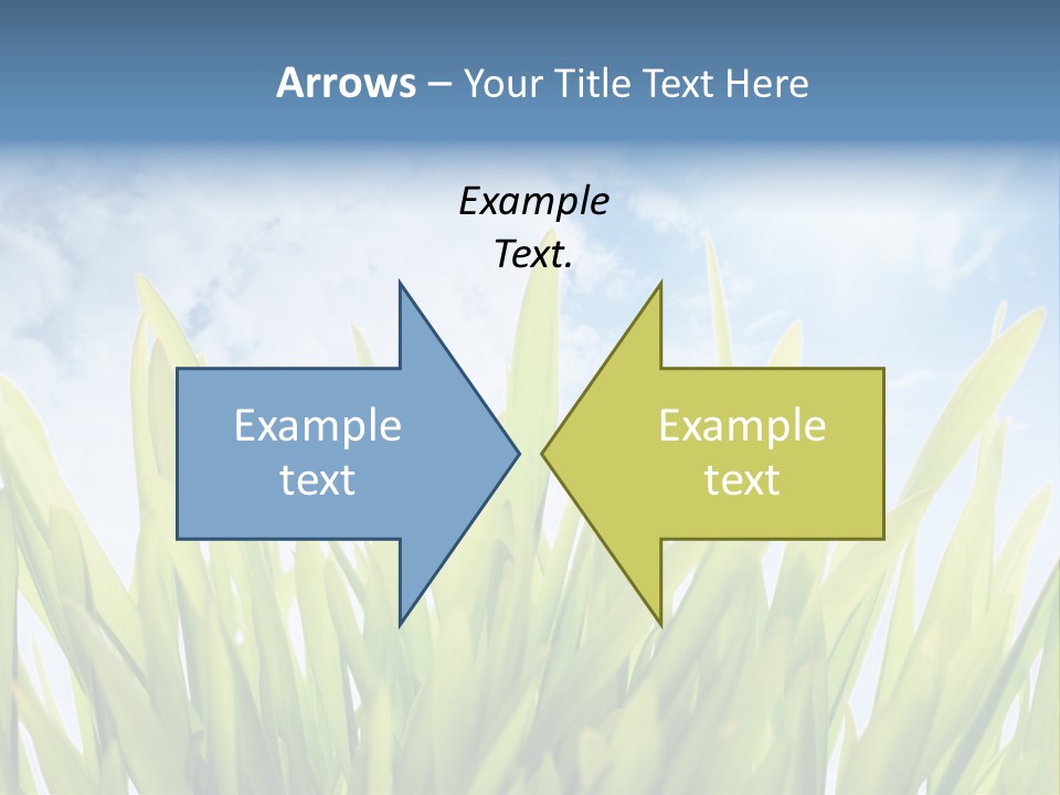 Serene Sun Environment PowerPoint Template