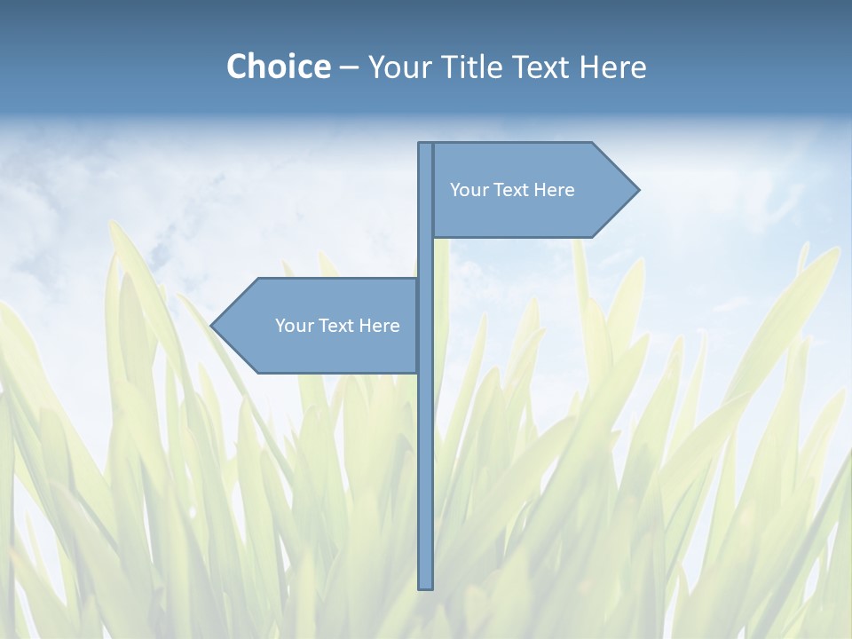Serene Sun Environment PowerPoint Template