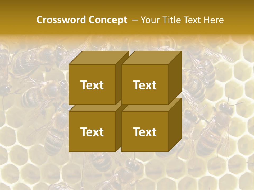 Loss Health Clean PowerPoint Template