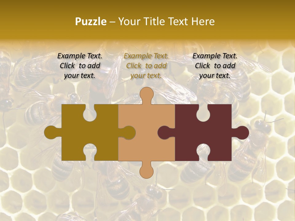 Loss Health Clean PowerPoint Template