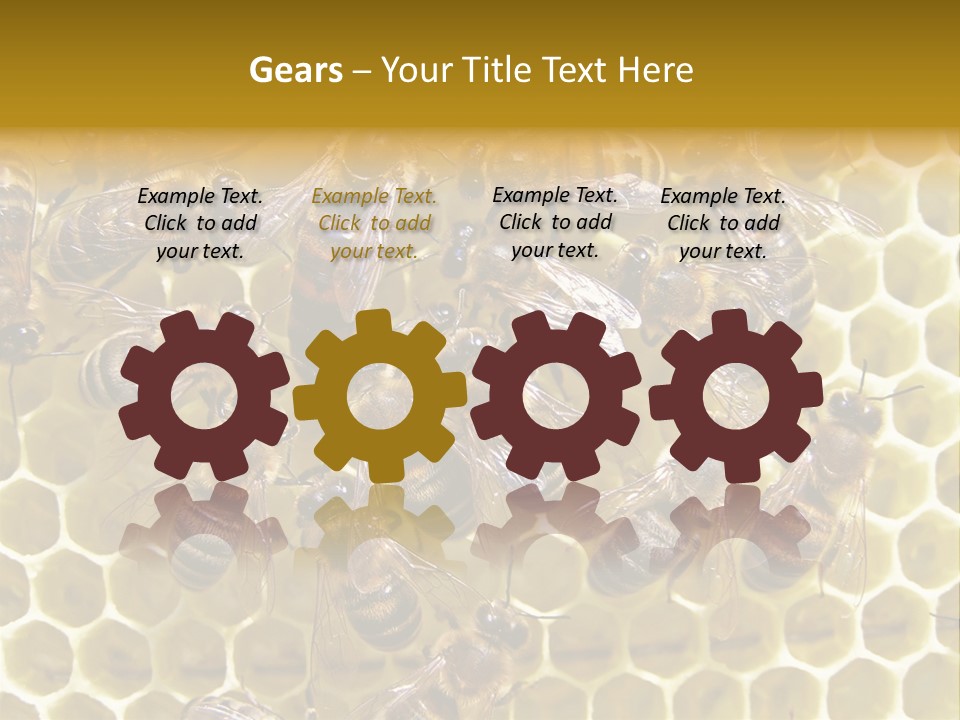 Loss Health Clean PowerPoint Template