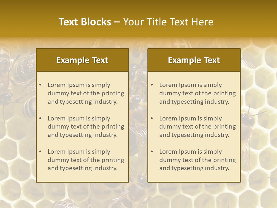Loss Health Clean PowerPoint Template