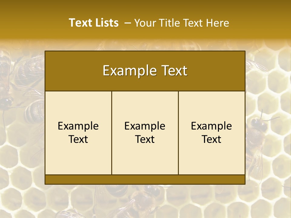 Loss Health Clean PowerPoint Template