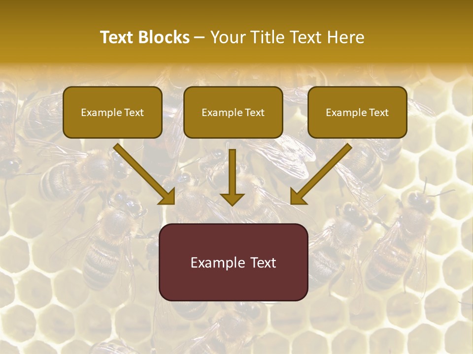 Loss Health Clean PowerPoint Template