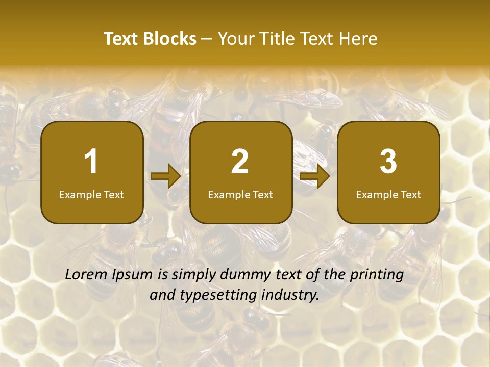 Loss Health Clean PowerPoint Template