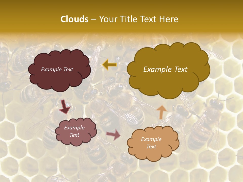 Loss Health Clean PowerPoint Template