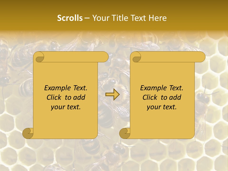 Loss Health Clean PowerPoint Template