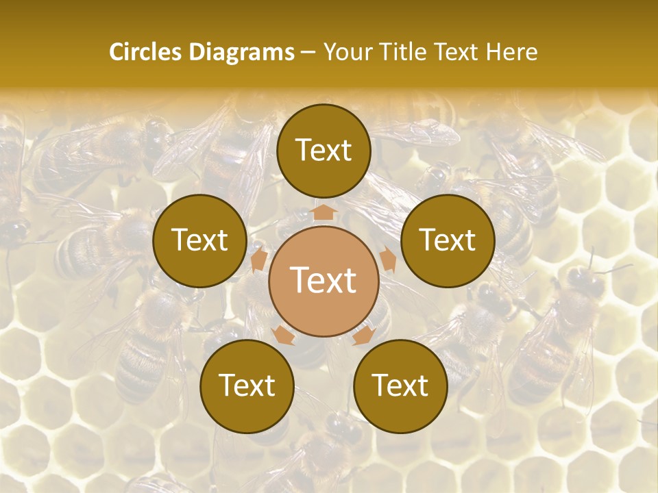 Loss Health Clean PowerPoint Template