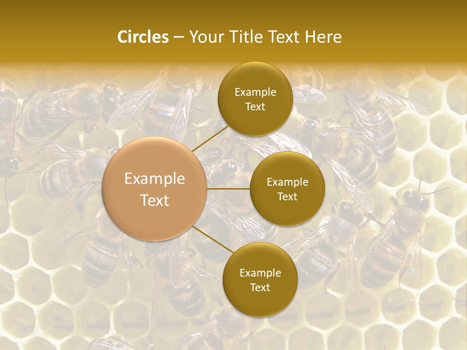 Loss Health Clean PowerPoint Template