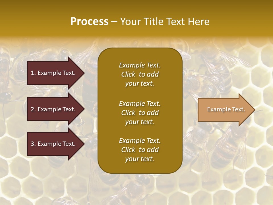 Loss Health Clean PowerPoint Template