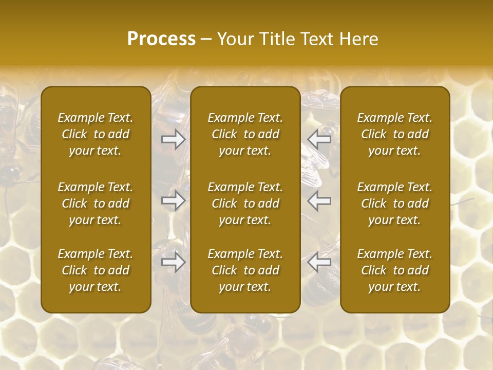 Loss Health Clean PowerPoint Template