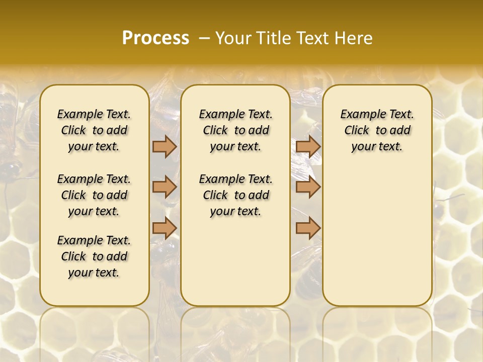 Loss Health Clean PowerPoint Template