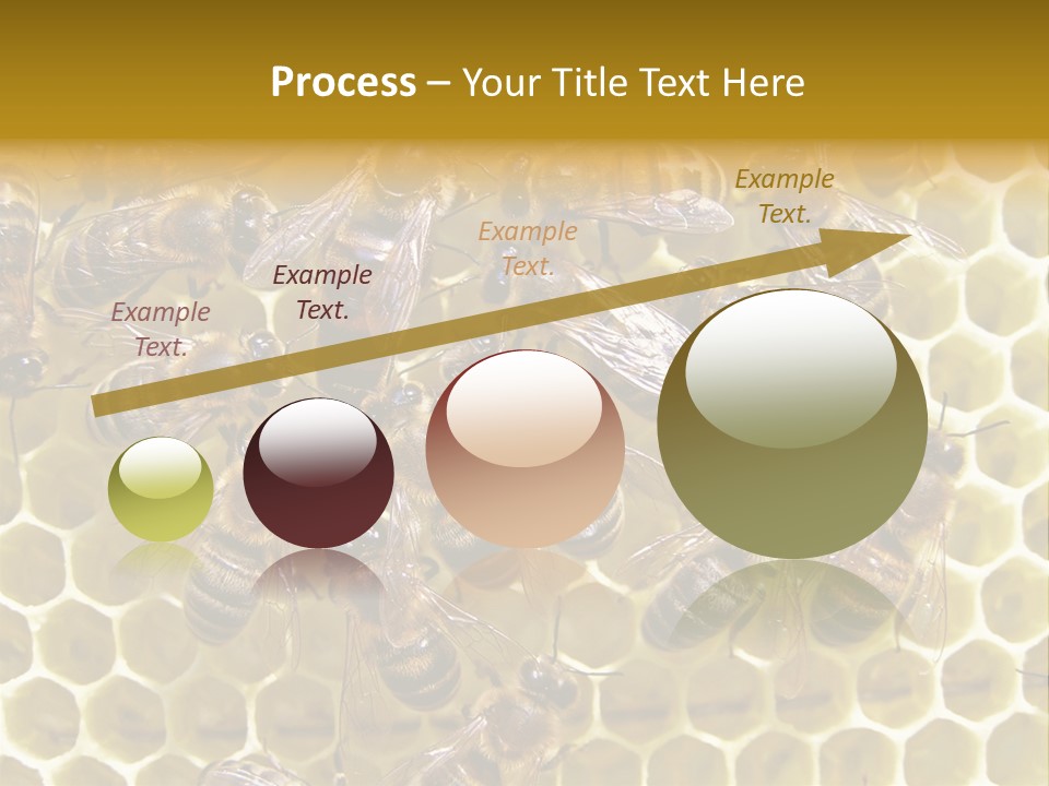 Loss Health Clean PowerPoint Template
