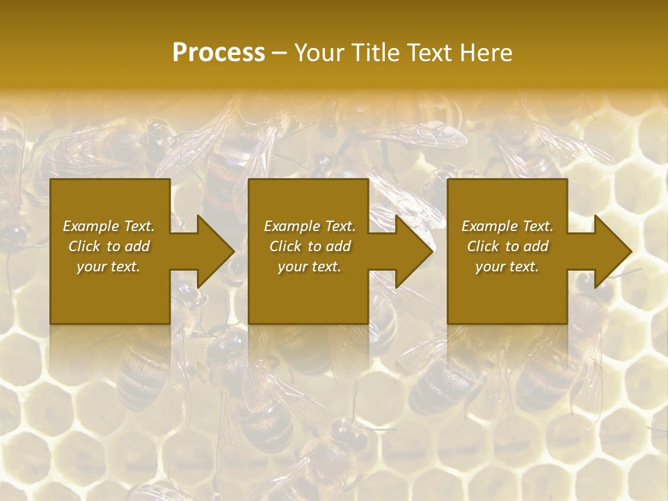 Loss Health Clean PowerPoint Template