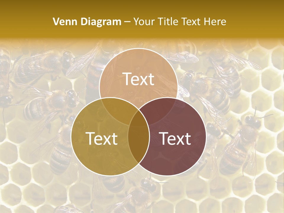Loss Health Clean PowerPoint Template