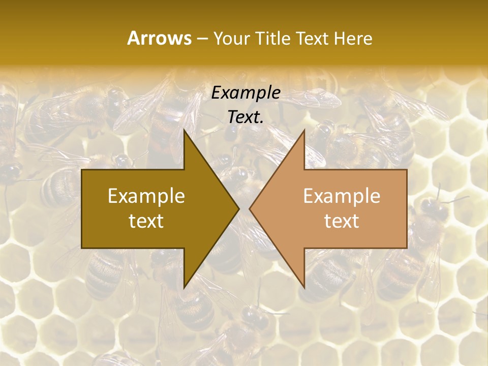 Loss Health Clean PowerPoint Template