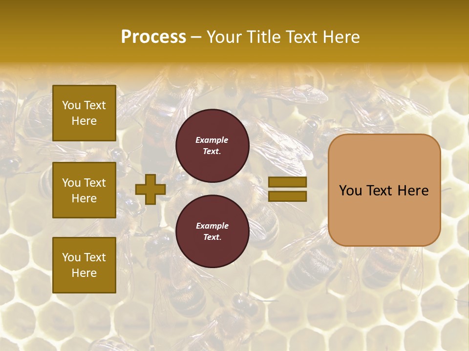 Loss Health Clean PowerPoint Template