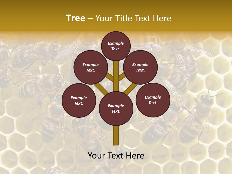 Loss Health Clean PowerPoint Template