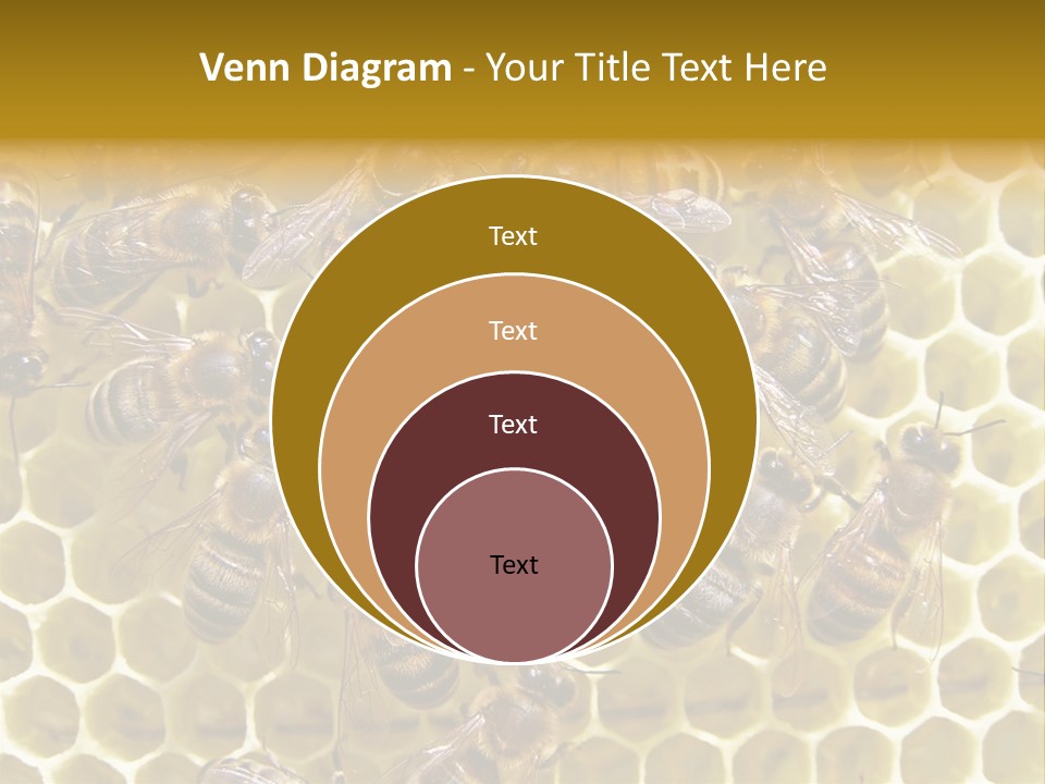 Loss Health Clean PowerPoint Template