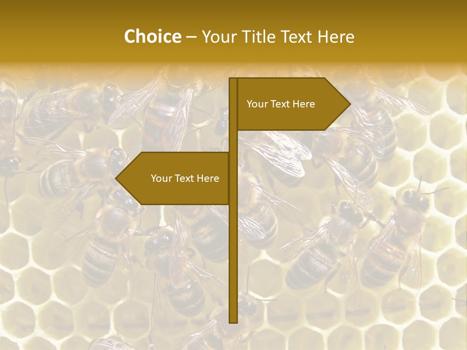 Loss Health Clean PowerPoint Template