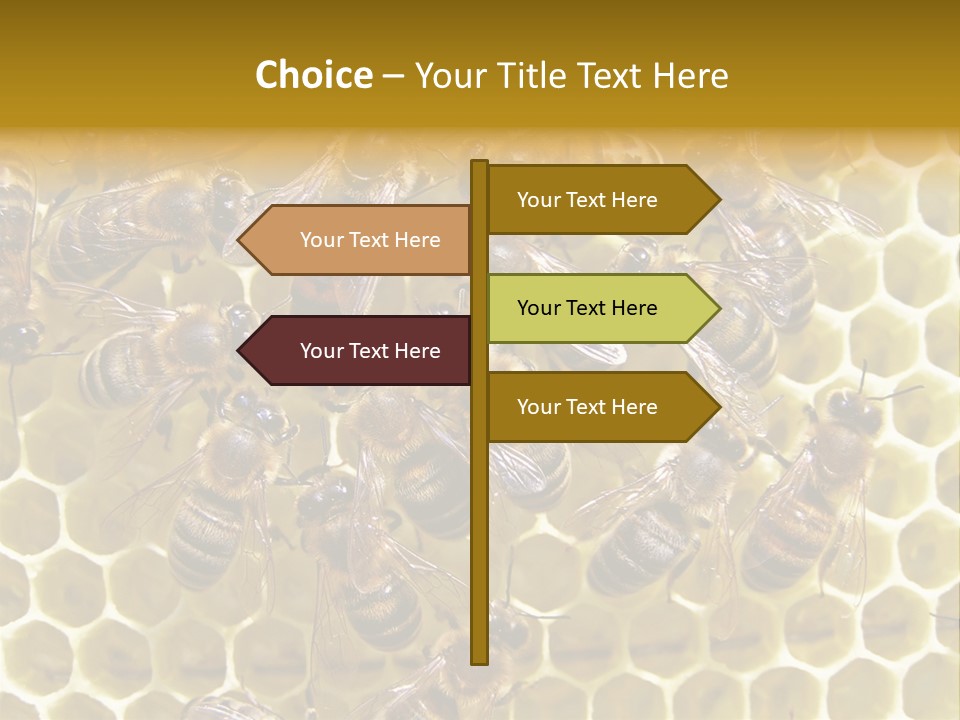 Loss Health Clean PowerPoint Template