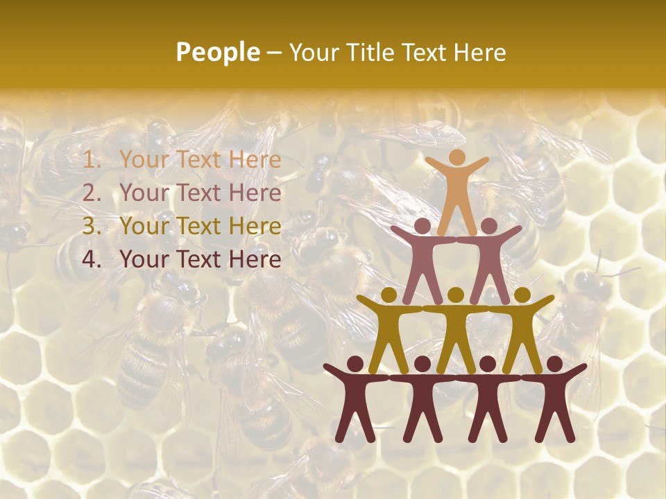 Loss Health Clean PowerPoint Template