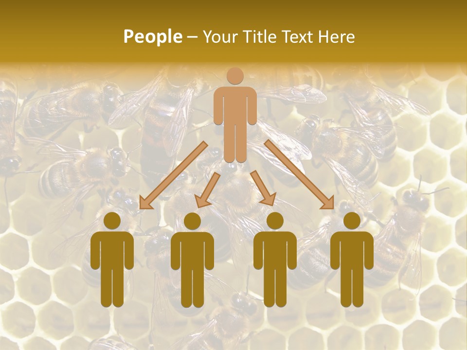 Loss Health Clean PowerPoint Template