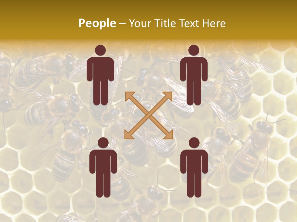 Loss Health Clean PowerPoint Template