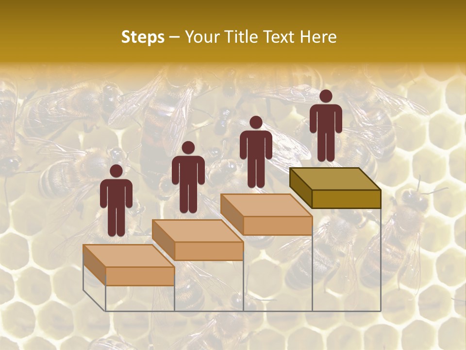 Loss Health Clean PowerPoint Template