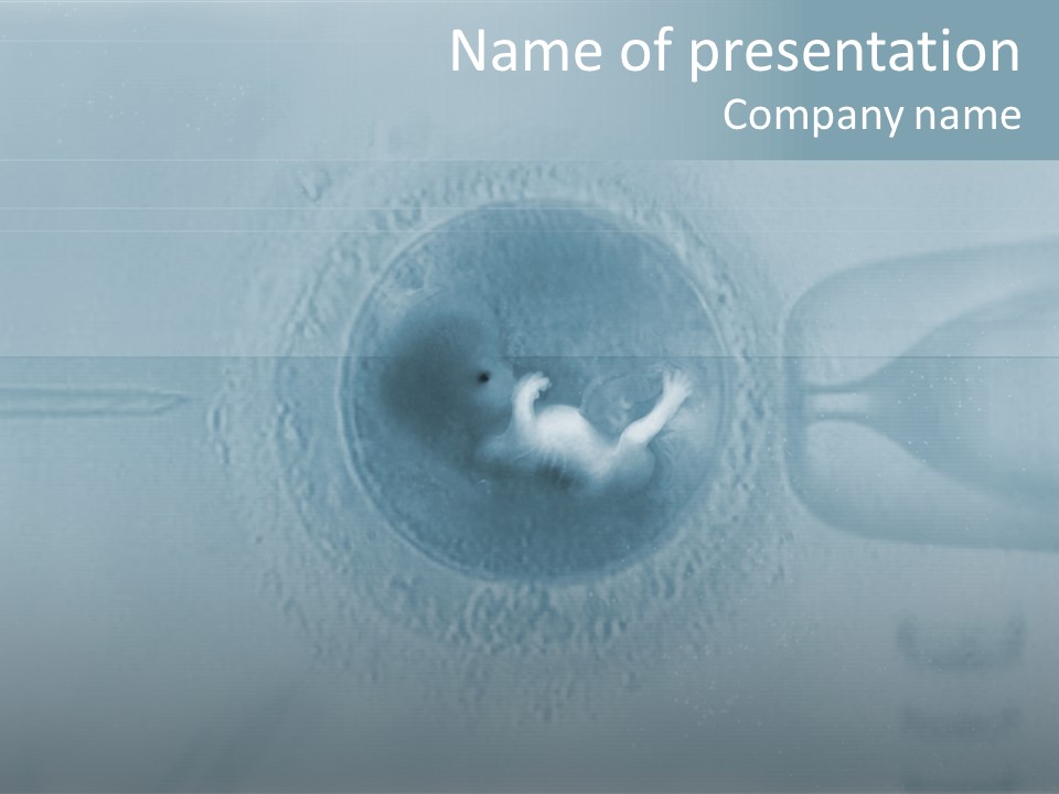 Love Fertile Cell PowerPoint Template