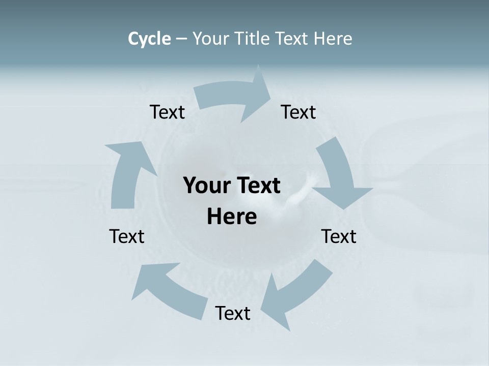 Love Fertile Cell PowerPoint Template