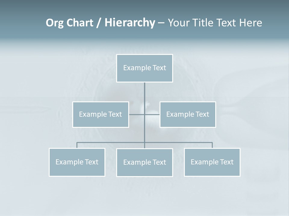 Love Fertile Cell PowerPoint Template