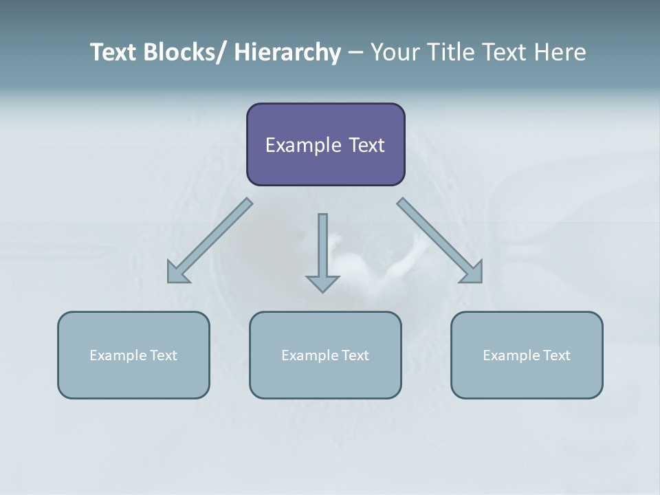 Love Fertile Cell PowerPoint Template