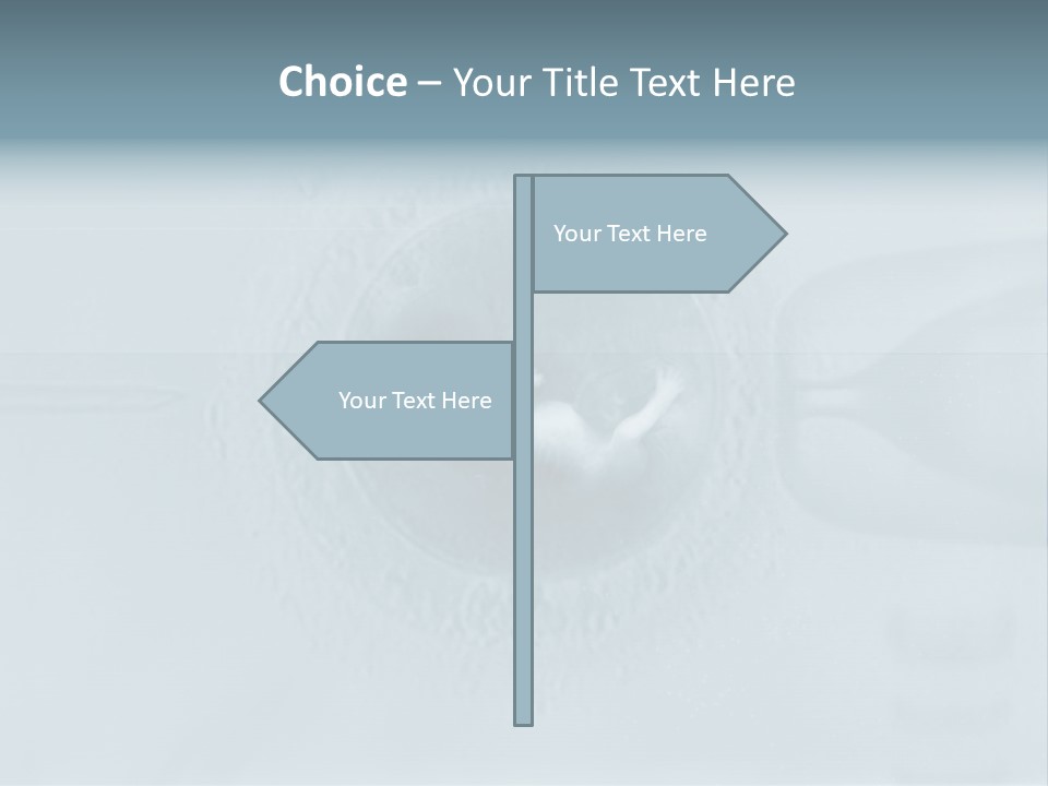 Love Fertile Cell PowerPoint Template