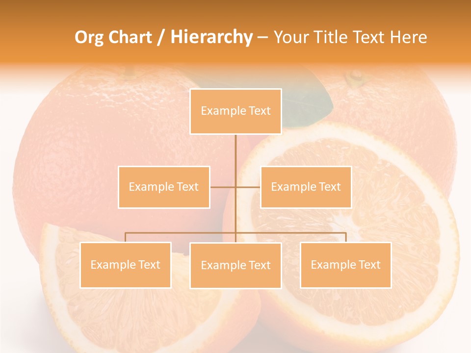 Bright Circle Food PowerPoint Template
