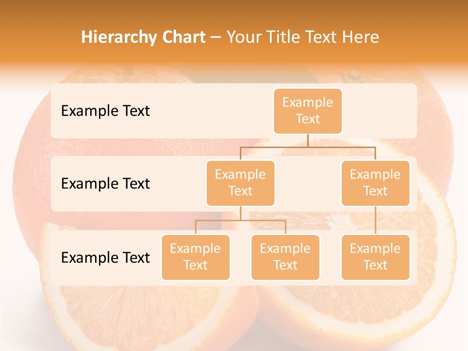 Bright Circle Food PowerPoint Template