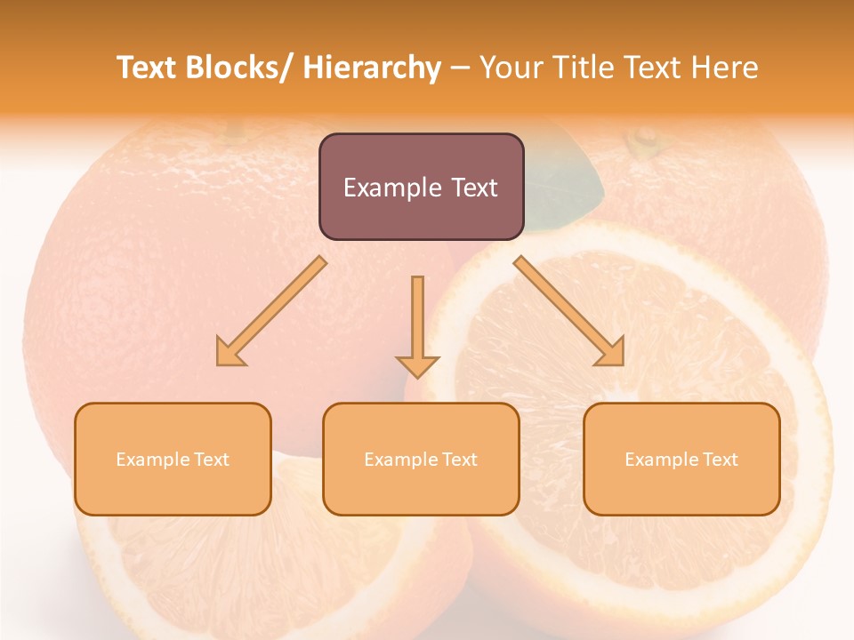 Bright Circle Food PowerPoint Template