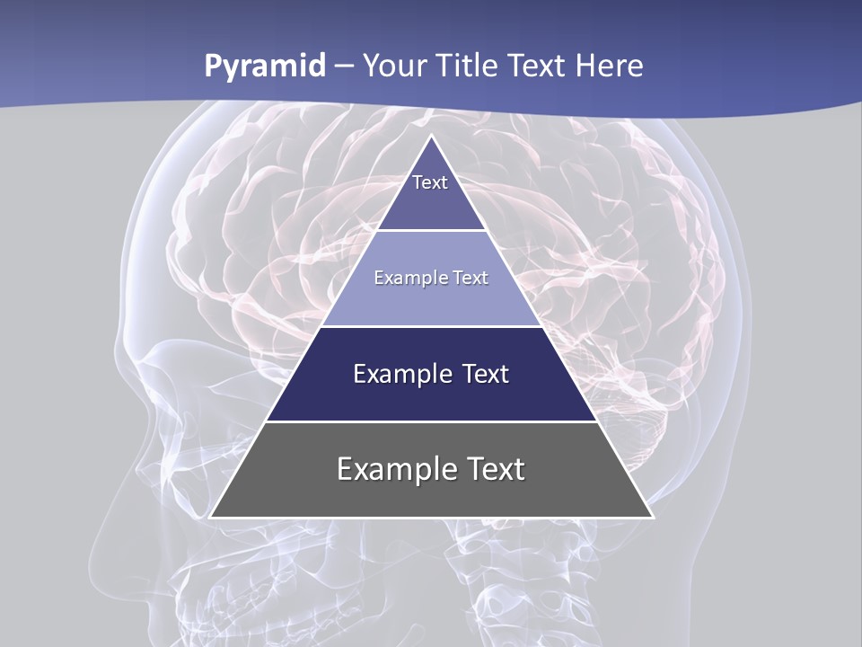 X Ray Man Bone PowerPoint Template