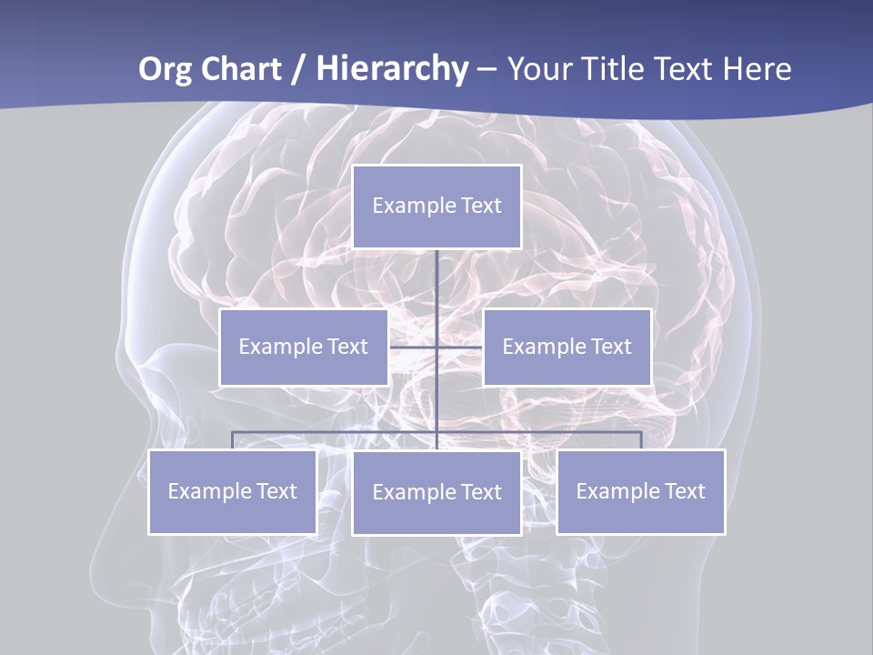 X Ray Man Bone PowerPoint Template
